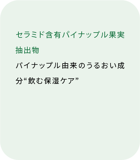 セラミド含有パイナップル果実抽出物 植物性の潤い成分（裏面）